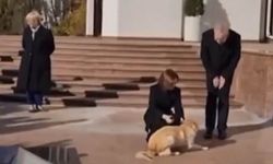 Moldova Cumhurbaşkanının köpeği, Avusturya Cumhurbaşkanını ısırdı