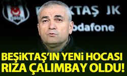 Beşiktaş'ın yeni hocası Rıza Çalımbay oldu