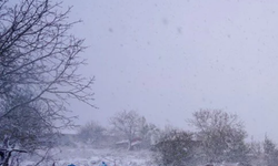 Trakya'da kar yağışı başladı: Yüksek kesimlerde etkili oluyor
