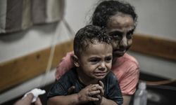 Gazzelilerin çürüyen yaraları, sirke ve klor ile tedavi ediliyor