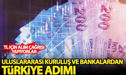 Uluslararası kuruluşlar ve yabancı bankalardan art arda Türkiye adımı