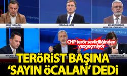 CHP'li milletvekilinden skandal sözler! Bebek katili Öcalan'a "Sayın" diye hitap etti...
