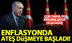 Erdoğan: Enflasyonda ateş düşmeye başladı