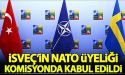 İsveç'in NATO üyeliği komisyonda kabul edildi