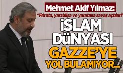 Mehmet Akif Yılmaz: İslam dünyası Gazze'ye yol bulamıyor...