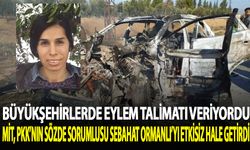 MİT, PKK'nın sözde sorumlusu Sebahat Ormanlı'yı etkisiz hale getirdi