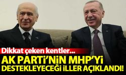 AK Parti'nin MHP'yi destekleyeceği iller açıklandı