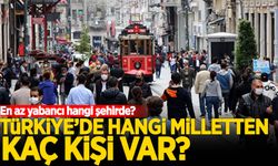 Türkiye'de hangi milletten kaç kişi var?