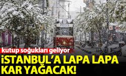 Kutup soğukları geliyor! İstanbul'a lapa lapa kar yağacak...