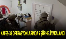 Kafes-33 operasyonlarında 9 şüpheli yakalandı