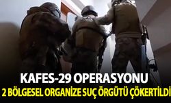 Kafes-29 operasyonlarında 2 bölgesel suç örgütü çökertildi