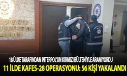 "Kafes 28" operasyonu ile 18 ülke tarafından kırmızı bültenle aranan 56 kişi yakalandı