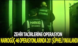 "Narkogüç-46" operasyonlarında 201 şüpheli yakalandı