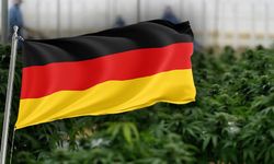 Almanya'da esrar yasallaşıyor