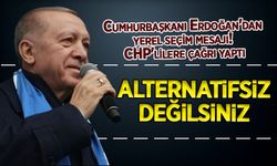 Başkan Erdoğan'dan  CHP'lilere çağrı: Alternatifsiz değilsiniz