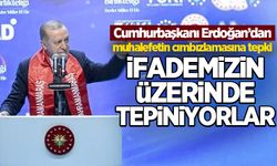 Cumhurbaşkanı Erdoğan'dan muhalefete tepki: İfademizin üzerinde tepiniyorlar