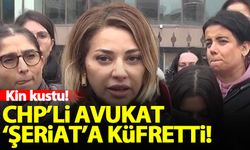 CHP'li Feyza Altun 'şeriat'a küfretti