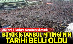 AK Parti'nin Büyük İstanbul mitinginin tarihi belli oldu!