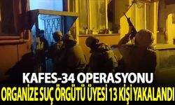 "Kafes-34" operasyonunda organize suç örgütü üyesi 13 şüpheli yakalandı