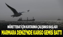 Marmara Denizi'nde batan kargo gemisinin mürettebatı için kurtarma çalışması başladı