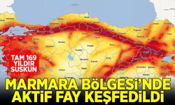 Marmara Bölgesi’nde aktif fay keşfedildi: 169 yıldır suskun