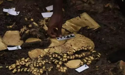 Panama’da altın dolu 1300 yıllık mezar bulundu