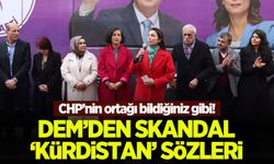 CHP'nin ortağı bildiğiniz gibi! DEM'den skandal 'Kürdistan' sözleri