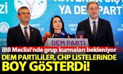 CHP listelerine giren DEM Partililerin İBB Meclisi'nde grup kurması bekleniyor!