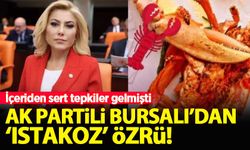Şebnem Bursalı 'ıstakoz' paylaşımının ardından özür diledi