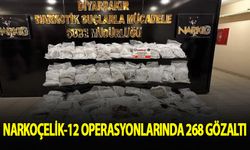 "Narkoçelik-12" operasyonlarında 268 şüpheli yakalandı
