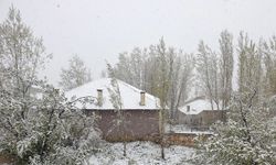 Van'ın Başkale ilçesinde kar yağdı