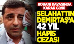 Selahattin Demirtaş'a 42 yıl hapis cezası