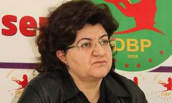 Eski HDP Milletvekili Emine Ayna'ya 10 yıl hapis cezası