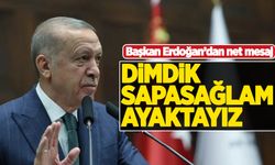 Başkan Erdoğan'dan net mesaj: Dimdik, sapasağlam ayaktayız