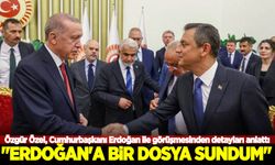 Özgür Özel, Cumhurbaşkanı Erdoğan ile görüşmesinden detayları anlattı