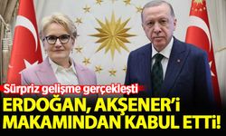 Cumhurbaşkanı Erdoğan, Meral Akşener'i makamında kabul etti