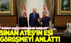 Sinan Ateş’in eşi Ayşe Ateş'ten, Erdoğan görüşmesi sonrası açıklama