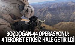 "Bozdoğan-44" operasyonunda 4 terörist etkisiz hale getirildi
