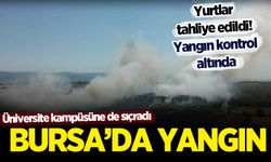 Bursa'da anız yangını: Kampüse sıçradı, öğrenci yurtları tahliye edildi