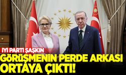 Başkan Erdoğan, Meral Akşener görüşmesinin perde arkası!