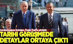 Başkan Erdoğan ve Özgür Özel'in görüşmesinde detaylar belli oldu