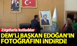 DEM'li Tatvan Belediye Başkanı Mümin Erol, Erdoğan'ın fotoğrafını böyle indirdi!