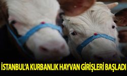 İstanbul'a kurbanlık hayvan girişleri başladı