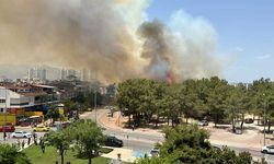 Antalya'nın Konyaaltı ilçesinde ağaçlık alanda yangın
