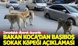 Bakan Koca'dan son dakika başıboş sokak köpeği açıklaması!