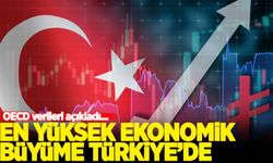 OECD'den Türk ekonomisi açıklaması
