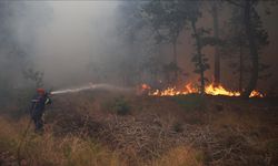 Yunanistan'da orman yangını riskine karşı uyarı yapıldı