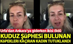 Kuduz şüphesi bulunan köpekleri Şanlıurfa'dan Ankara'ya kaçıran kadın tutuklandı