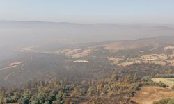 Bursa-Balıkesir il sınırında ormanlık alanda yangın kontrol altına alındı