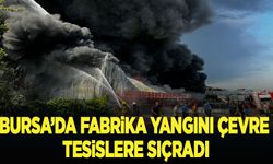 Bursa'da fabrika ve geri dönüşüm tesisinde süren yangın yayılıyor
